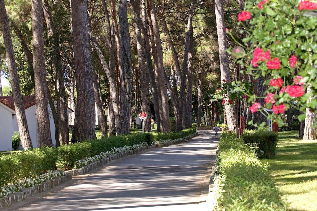 Galijot Plava Laguna